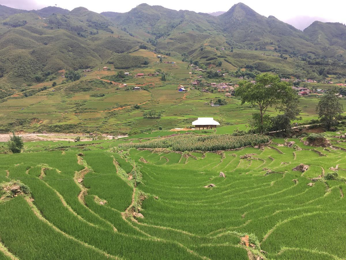 Hoa'S Homestay Sapa Extérieur photo