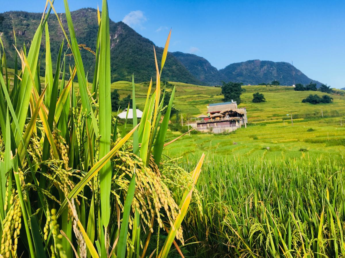 Hoa'S Homestay Sapa Extérieur photo