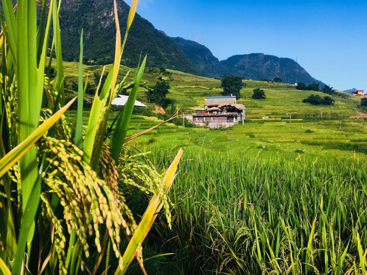 Hoa'S Homestay Sapa Extérieur photo